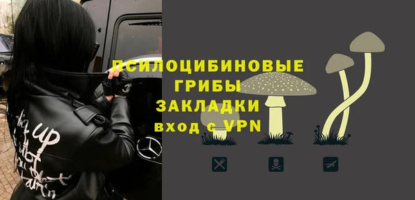 стафф Абаза