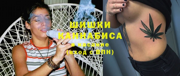 spice Покачи