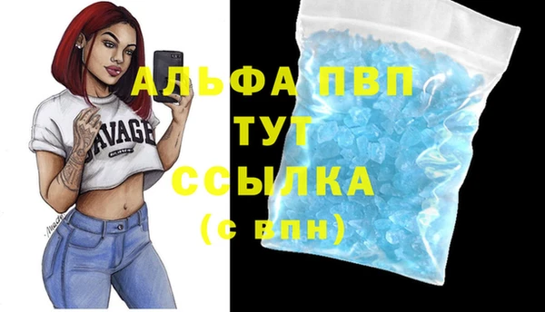 тгк Весьегонск