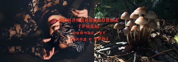 шишки Покров