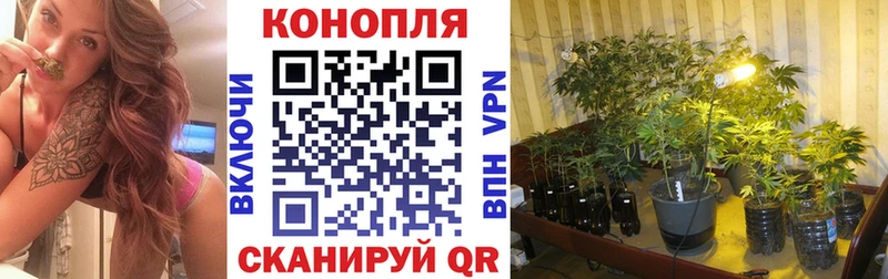 blacksprut зеркало  Камень-на-Оби  Шишки марихуана THC 21%  купить наркотики сайты 